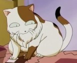 Buyo - full body
